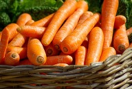 Orange carrots in a basket