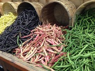 Colorful Beans in harvest baskets