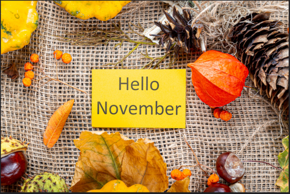 Hello November Image with fallen leaves