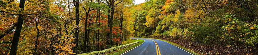 DL Fall 2023 Newsletter Header 02