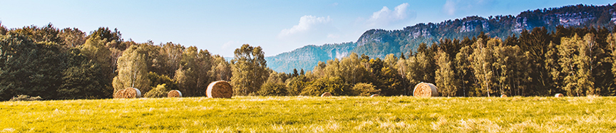 DL Newsletter Fall 2023 05