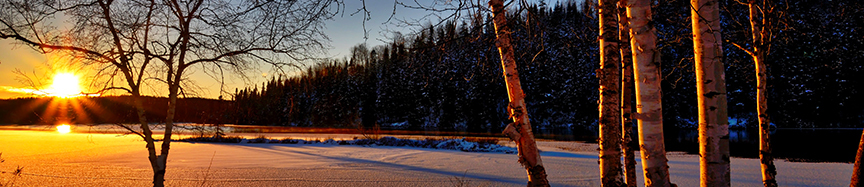 COOL January Newsletter - Header Image 03