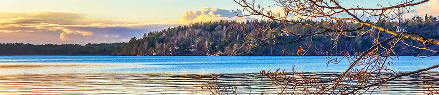 COOL January Newsletter - Header Image 01