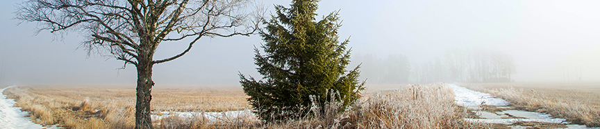 COOL January Newsletter - Header Image 05