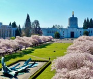 Oregon capitol with blossoms