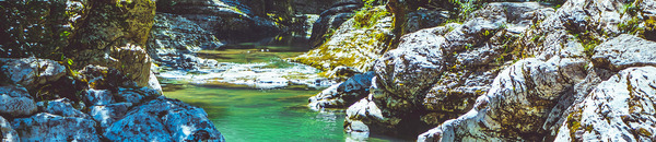 DL Newsletter Header #3