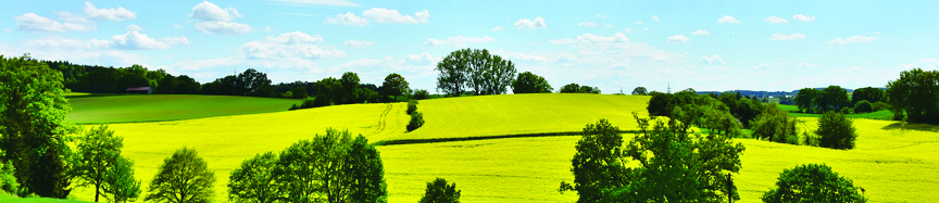 DL Newsletter Header #4