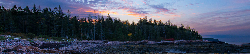 COOL Spring Header 04