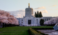 State Capitol and cherry blossoms