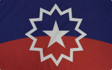 Juneteenth Flag