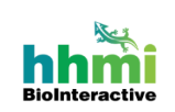 HHMI BioInteractive Logo