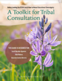 Tribal Toolkit Picture