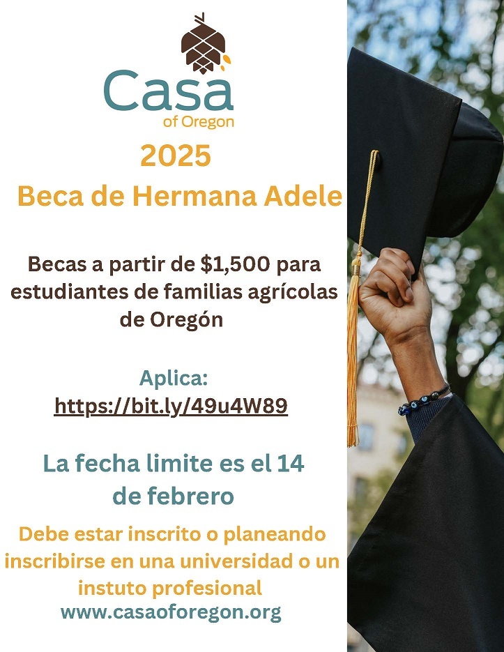 Spanish flyer of scholarship information