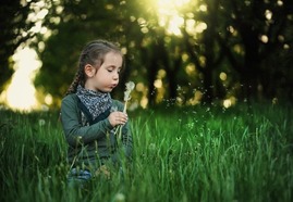 child blowing a dandelion
