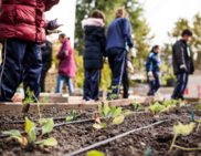 School garden
