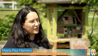 Latino Network on AMNW