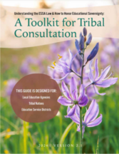 Floral cover image of the toolkit for tribal consultation