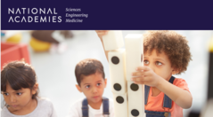 NASEM - Framework Interactive Logo