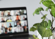 A plant with a laptop in the background.