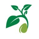 Seed Survey Logo