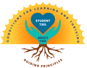 TSEL image