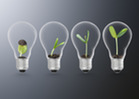 Four lightbulbs with a plant progressively growing larger inside each one.