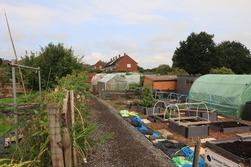 farm to school month