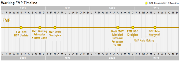 timeline for Forest Management Plan