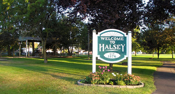 Halsey Tree City