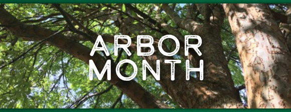 Arbor Month Image