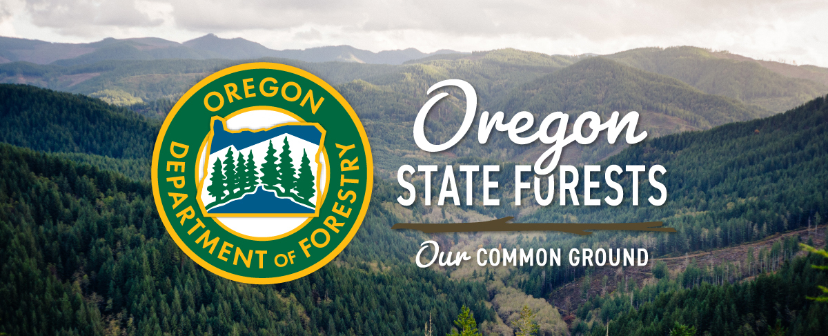 State forests recreation header, our common ground logo