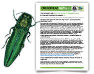 EAB3