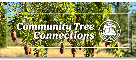 Community Tree Connections Cover Image