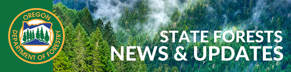 ODF state forests logo header graphic