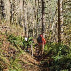 Foresters working on trail