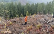 Treeplantingcircle