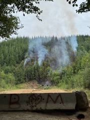 Wolfcreekfire