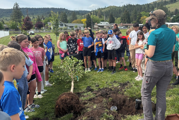 Young students at tree planting
