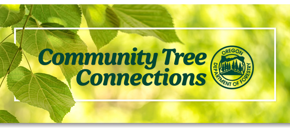 Community Trees Header