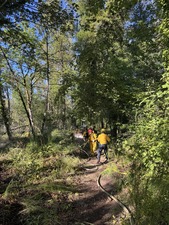 lebanon fire and ODF
