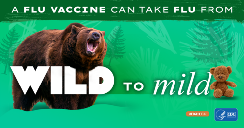 graphic of flu campaign slogan - From Wild to Mild