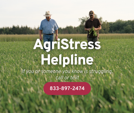 photo of two agriculture workers in a field, promoting AgriStress Helpline