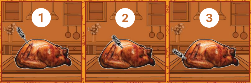 using a turkey thermometer