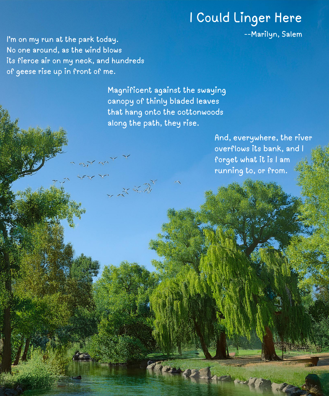 Poem called I COULD LINGER HERE against scene of a park with geese flying