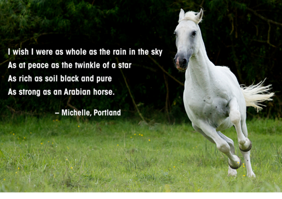 photo of a white Arabian horse running through a field, and a poem about health