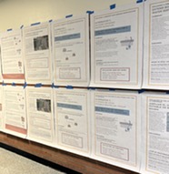 A series of posters explaining long-term planning by other agencies in the area.