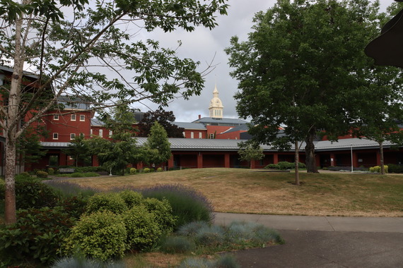 OSH plaza with landscaping
