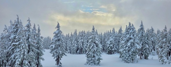 Timberline Lodge - Government Camp