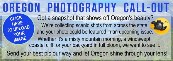 Volunteer Photography Call-Out