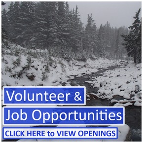 Volunteer & Job Opportunities